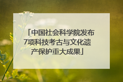 中国社会科学院发布7项科技考古与文化遗产保护重大成果