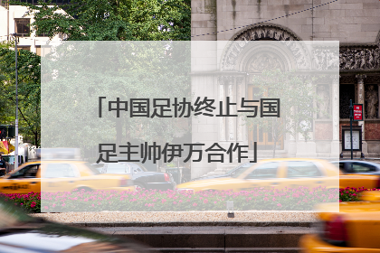 中国足协终止与国足主帅伊万合作