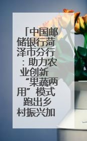 中国邮储银行菏泽市分行：助力农业创新 “果蔬两用”模式 跑出乡村振兴加速度