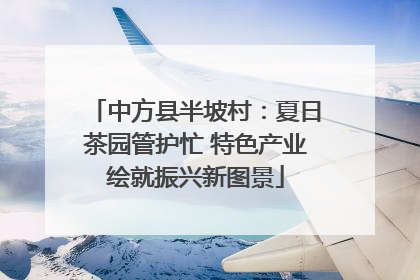 中方县半坡村：夏日茶园管护忙 特色产业绘就振兴新图景