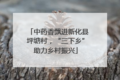 中药香飘进新化县坪塘村，“三下乡”助力乡村振兴
