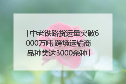 中老铁路货运量突破6000万吨 跨境运输商品种类达3000余种