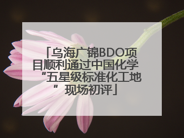 乌海广锦BDO项目顺利通过中国化学“五星级标准化工地”现场初评