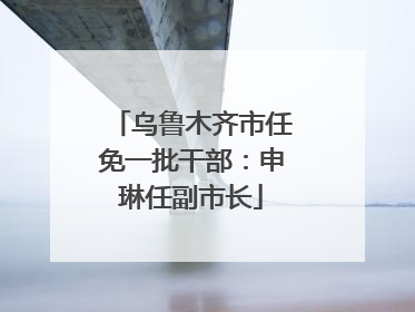 乌鲁木齐市任免一批干部：申琳任副市长