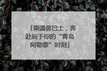 乘温馨巴士，奔赴属于你的“青岛阿勒泰”时刻