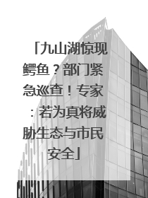 九山湖惊现鳄鱼？部门紧急巡查！专家：若为真将威胁生态与市民安全