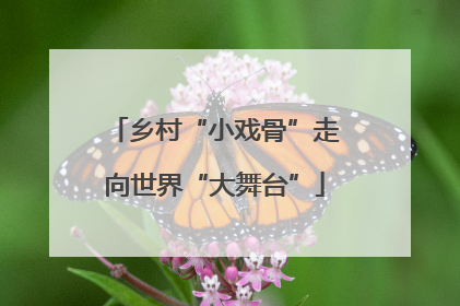 乡村“小戏骨”走向世界“大舞台”