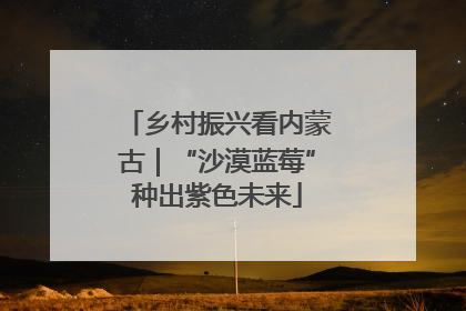 乡村振兴看内蒙古｜“沙漠蓝莓”种出紫色未来