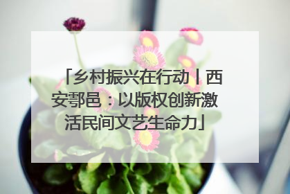 乡村振兴在行动丨西安鄠邑：以版权创新激活民间文艺生命力