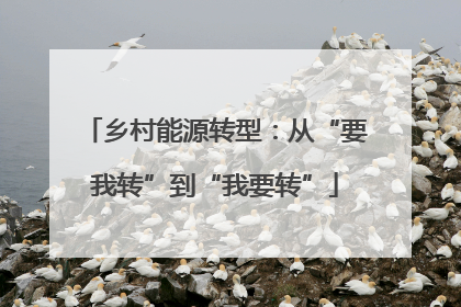乡村能源转型：从“要我转”到“我要转”