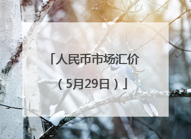 人民币市场汇价（5月29日）