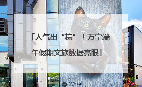 人气出“粽”！万宁端午假期文旅数据亮眼