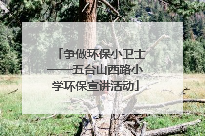 争做环保小卫士——五台山西路小学环保宣讲活动
