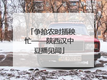争抢农时插秧忙——陕西汉中夏播见闻