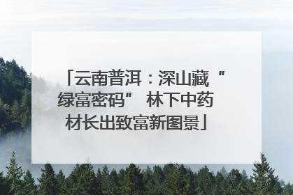 云南普洱：深山藏“绿富密码” 林下中药材长出致富新图景