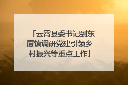 云霄县委书记到东厦镇调研党建引领乡村振兴等重点工作