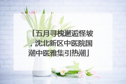 五月寻槐邂逅怪坡，沈北新区中医院国潮中医雅集引热潮