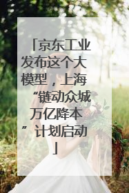 京东工业发布这个大模型，上海“链动众城 万亿降本”计划启动