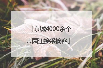 京城4000余个果园迎接采摘客