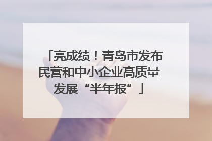 亮成绩！青岛市发布民营和中小企业高质量发展“半年报”