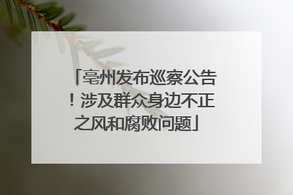 亳州发布巡察公告！涉及群众身边不正之风和腐败问题