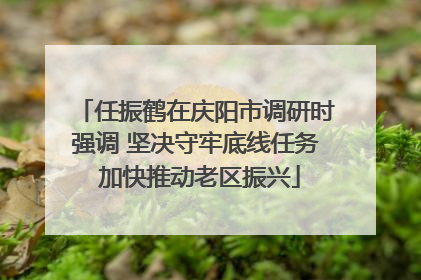 任振鹤在庆阳市调研时强调 坚决守牢底线任务 加快推动老区振兴