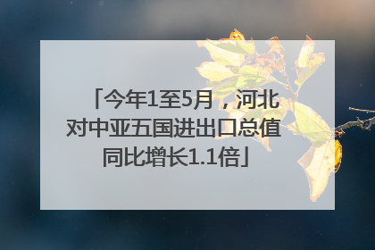 今年1至5月，河北对中亚五国进出口总值同比增长1.1倍