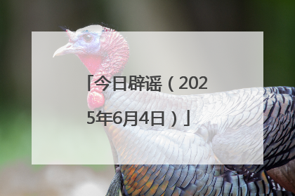 今日辟谣（2025年6月4日）
