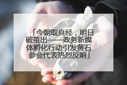 今朝取真经，明日破茧出——政务新媒体孵化行动引发黄石参会代表热烈反响