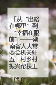 从“出路在哪里”到“幸福在眼前”——湖南省人大常委会机关驻五一村乡村振兴帮扶工作队书写振兴答卷
