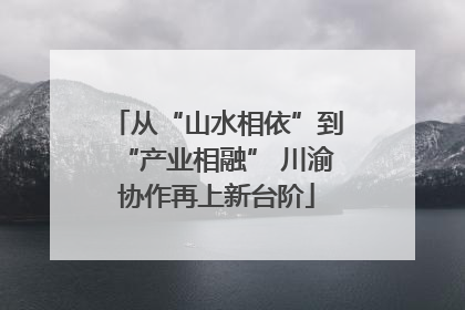 从“山水相依”到“产业相融” 川渝协作再上新台阶
