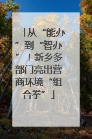 从“能办”到“智办”！新乡多部门亮出营商环境“组合拳”