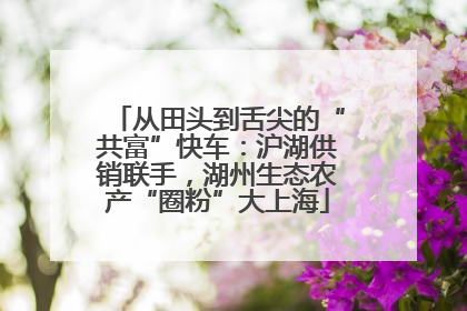 从田头到舌尖的“共富”快车：沪湖供销联手，湖州生态农产“圈粉”大上海
