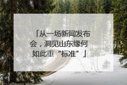 从一场新闻发布会，洞见山东缘何如此重“标准”