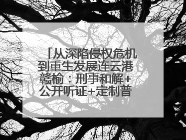 从深陷侵权危机到重生发展连云港赣榆：刑事和解+公开听证+定制普法，让玩具公司回到正轨