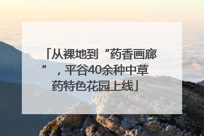 从裸地到“药香画廊”，平谷40余种中草药特色花园上线