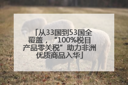 从33国到53国全覆盖，“100%税目产品零关税”助力非洲优质商品入华