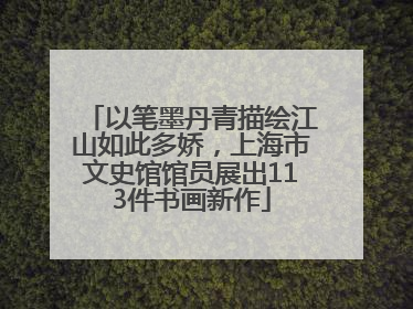 以笔墨丹青描绘江山如此多娇，上海市文史馆馆员展出113件书画新作