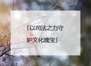 以司法之力守护文化瑰宝