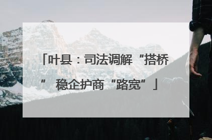 叶县：司法调解“搭桥” 稳企护商“路宽”