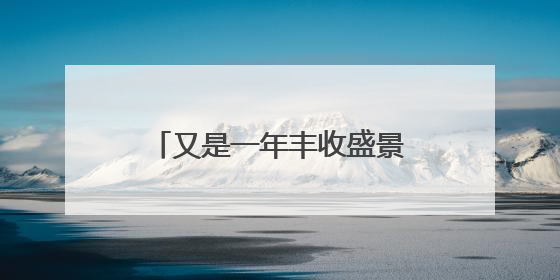 又是一年丰收盛景！淄博临淄29万余亩小麦开镰啦