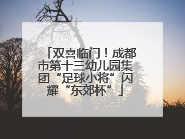 双喜临门！成都市第十三幼儿园集团“足球小将”闪耀“东郊杯”
