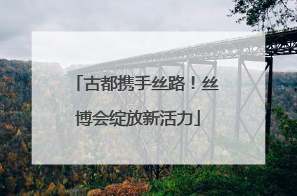 古都携手丝路！丝博会绽放新活力
