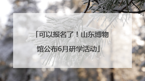 可以报名了！山东博物馆公布6月研学活动