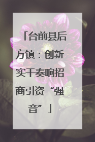 台前县后方镇：创新实干奏响招商引资“强音”