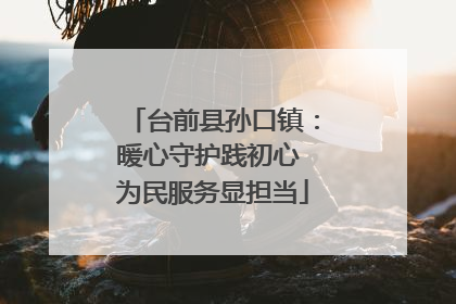 台前县孙口镇：暖心守护践初心 为民服务显担当