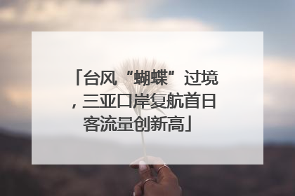 台风“蝴蝶”过境，三亚口岸复航首日客流量创新高