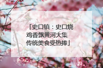 史口镇：史口烧鸡香飘黄河大集 传统美食受热捧