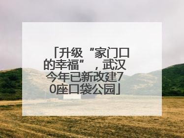 升级“家门口的幸福”，武汉今年已新改建70座口袋公园