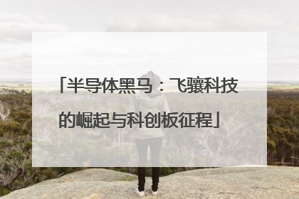 半导体黑马：飞骧科技的崛起与科创板征程